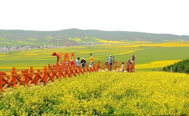 青島推動文旅項目多領(lǐng)域、多業(yè)態(tài)、多層次發(fā)展